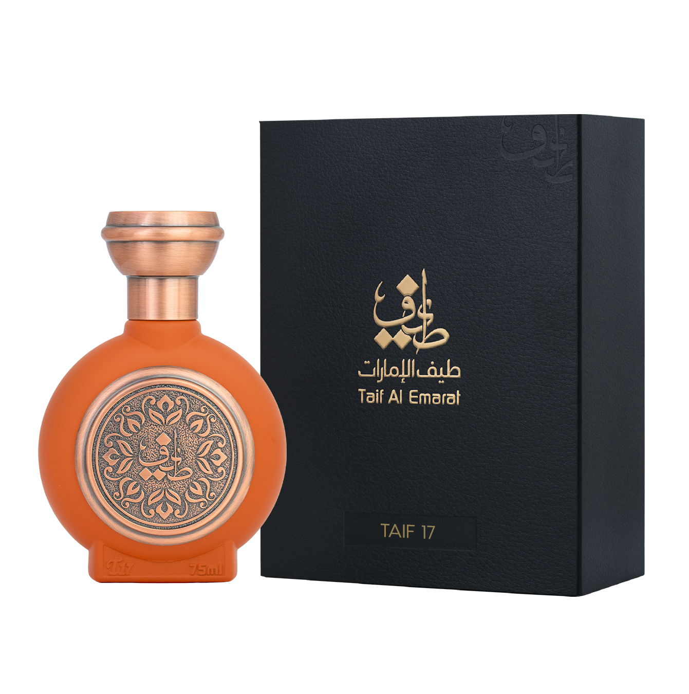 TAIF 17